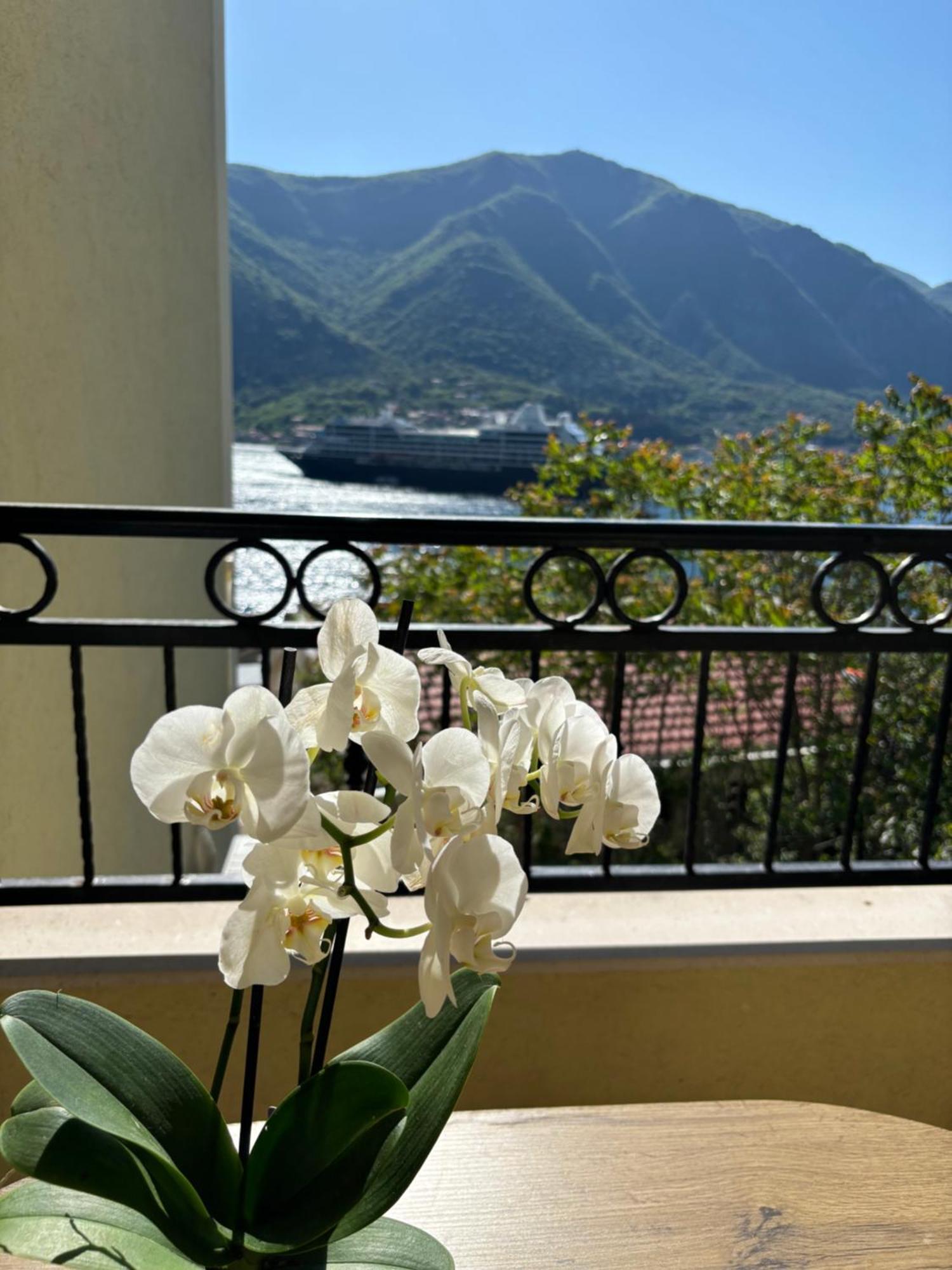 Modern Seaside Apartment With Balcony Tale Apartment Kotor Kültér fotó